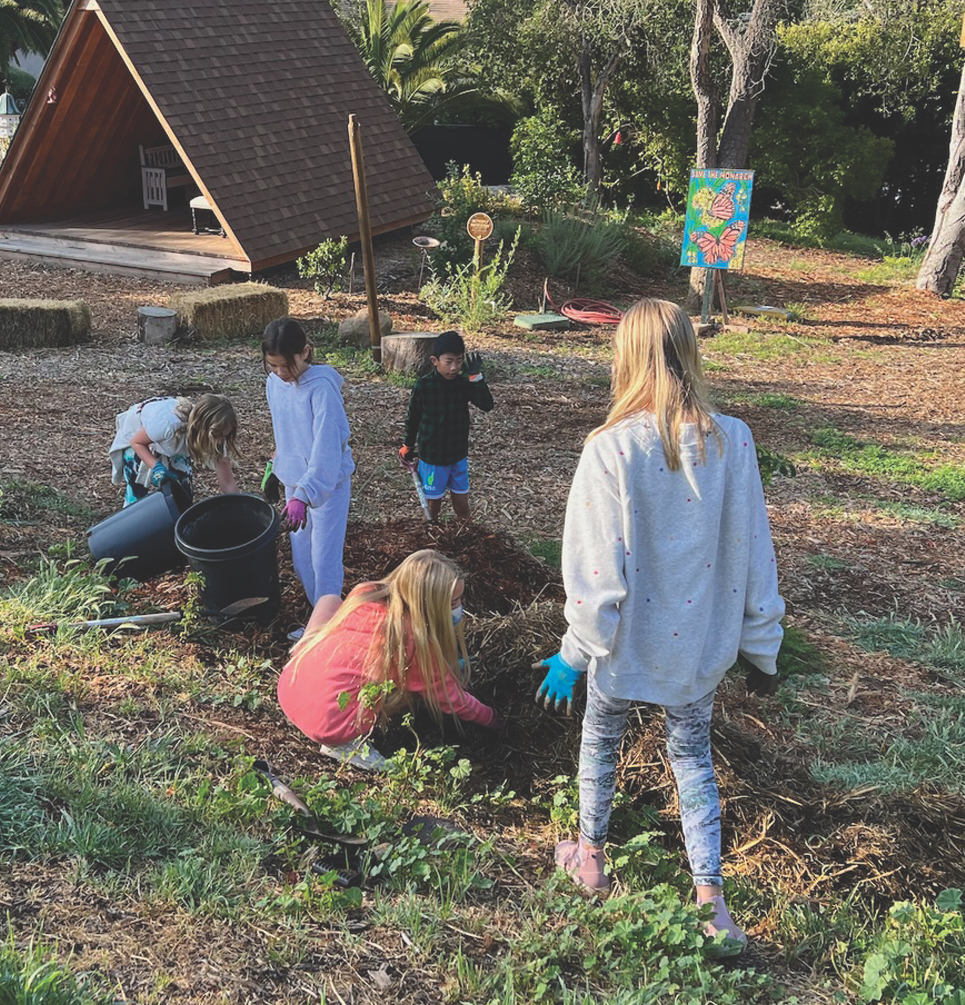 MUS Students Learning at the Nature Lab